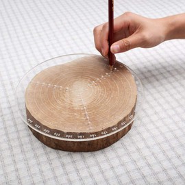 ANCLLO 300mm Round Compass for Turner Lathe Clear Acrylic Drawing Circles Diameter