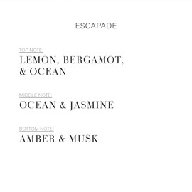 Aroma360 - Escapade Fragrance Oil Scent - Luxury Aromatherapy Scent Diffuser Oil - Hints of Lemon, Ocean, Bergamot, & Fragrant Jasmine - for Essential Oil Diffusers - for Home & Office - 120mL