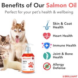 Salmon Oil for Dogs - Healthy Skin & Coat, Natural Norwegian Omega 3 Fish Oil Food Supplement, EPA & DHA Fatty Acids, Ideal for Shedding, Allergy, Itching, Dry Skin, Joint & Bone Health - (2 x 16.9oz)