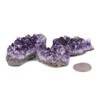 JUST IN STONES 1/2LB Natural Large Amethyst Geode Crystal Cluster