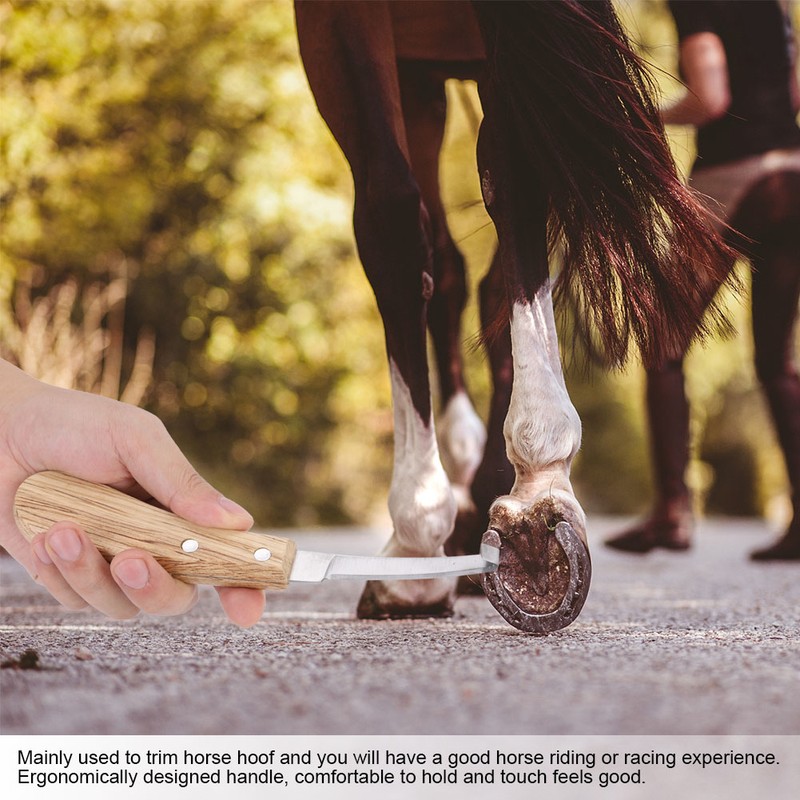 Hoof Knife Straight Blade Left Right Handed Trimming Tool for