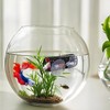 Betta Fish Tunnel with Suction Cups - Small Hole Hollow
