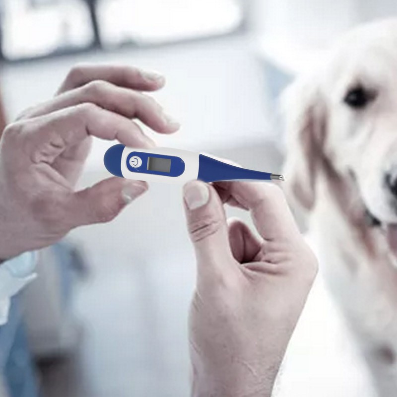 2Pcs Animal Thermometer Plastic Shell Accurate LCD Display Electronic Thermometer