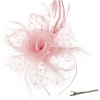 DRESHOW Fascinators Hat Flower Mesh Ribbons Feathers on a Headband