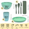 FOODLE Wheat Straw Dinnerware Set - BPA Free & Safety
