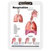 Lung Charts (clip board)