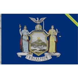 Lyh Double Sided 3ply New York State Boat Nautical Flag 12x18 Inch, NY Boat Flag, 220D Nylon 100% Bleed Through – Double Stitched and UV Resistant Flags,with Vibrant Printing and Sturdy Brass Grommets. (NY, 12X18IN)