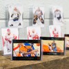 CollectorMount Card Mount 1 Pack, Trading Cards Stand and Wall