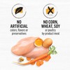 Purina Beyond Grain Free White Meat Chicken and Egg Recipe