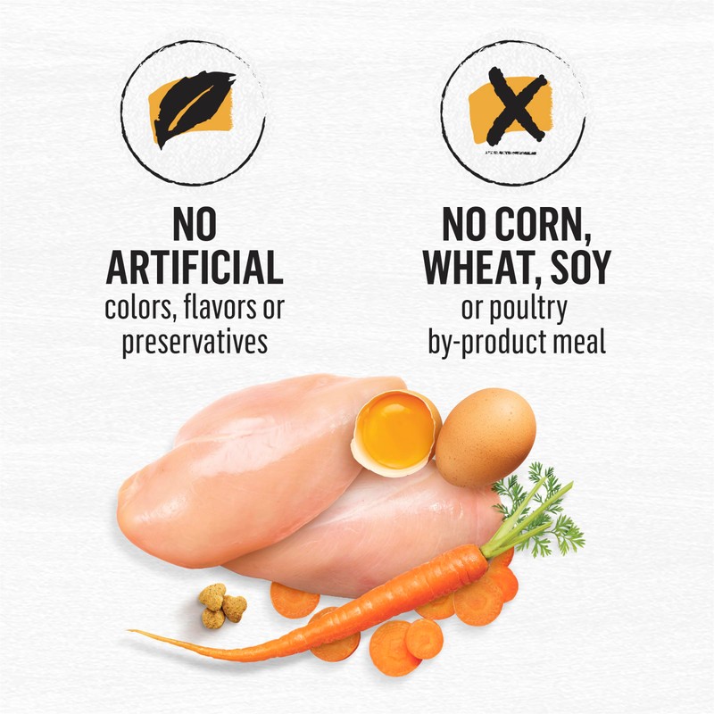 Purina Beyond Grain Free White Meat Chicken and Egg Recipe