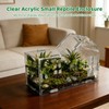 Large Jumping Spider Acrylic Enclosure, Clear Acrylic Spider Habitat Box