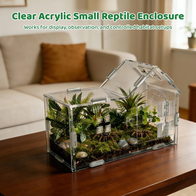 Large Jumping Spider Acrylic Enclosure, Clear Acrylic Spider Habitat Box