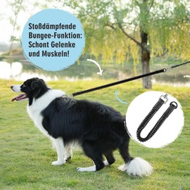 Aystkniet Recall Lead 15 m for Dogs, Dog Lead with Removable Elastic Cord, Lockable Hook, Padded Handle, Long Running Lead, Training Lead for Medium and Large Dogs