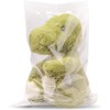 DVIVA100 bags size 8x10 Clear plastic self-seal clothing resealable polypropylene