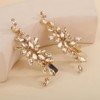 Teyglen Champagne Rhinestone Bridal Hair Clips Crystal Wedding Hair Barrette