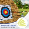 PATIKIL Arrows Vanes, 36 Pack 2.5 Inch Arrow Fletching Archery