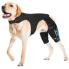 Dog Knee Brace for Back Leg, Adjustable Hip Support for