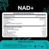 NAD+ | NR Nicotinamida Ribosa con Trans-Resveratrol 99%, Ácido Alfa