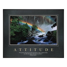 Gifts Delight Laminated 20x20 Poster: All Motivational Posters by Successories - Attitude Rainbow Motivational Poster