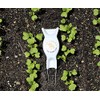 Bobby Seeds Swedish Weeder Hand Weeder White