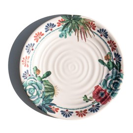 Abode Homewares Desert Succulent newWave Microwave Safe Premium Melamine Dinner Plate, Set of 6, 10.5"