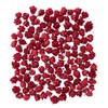 Daichi Farm DO024720-300 Dried Flowers, Red, Approx. L 0.4 inches