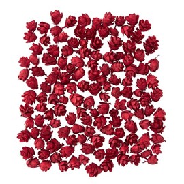 Daichi Farm DO024720-300 Dried Flowers, Red, Approx. L 0.4 inches (1 cm), Tamarack Corn, 0.9 oz (25 g)