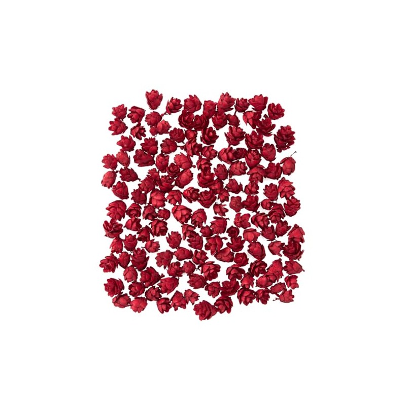 Daichi Farm DO024720-300 Dried Flowers, Red, Approx. L 0.4 inches