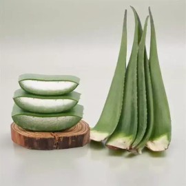 Aloe 생알로에팩 알로에 베라겔 생 알로에베라 2kg Fresh Aloe Vera Gel 2kg [One item]