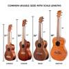 Kala MK-C Pack Makala Concert Ukulele Pack
