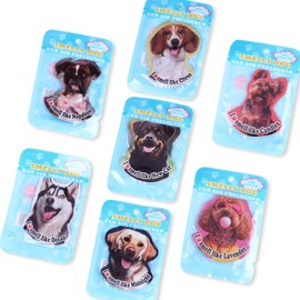 Car Air Freshener Hanging Cute Dog Air Freshener for Car Gift for Pet Lovers 7 Pack