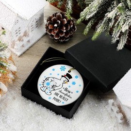 Thyle Funny Christmas Ornaments for Adults How Snowflakes are Really Made Ceramic Snowman Ornaments Stocking Stuffer Gift with Box White Elephant Exchange Ideas