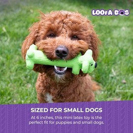 Multipet Loofa - Juguete original de ltex para perros, juguete chirriante para todos los perros, juguetes chirriantes fciles de limpiar, juguetes de  
