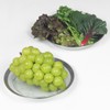 21cm stainless steel mesh tray set of 2 / 21cm