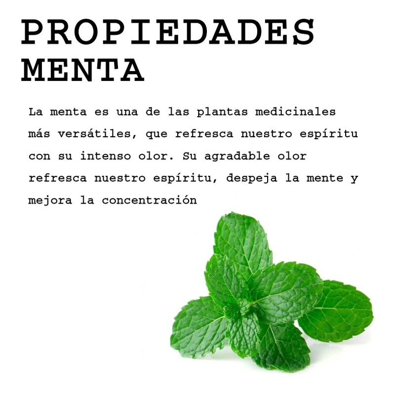 Aceite Masaje Relajante Lavanda Menta 4 L Tamaño Spa