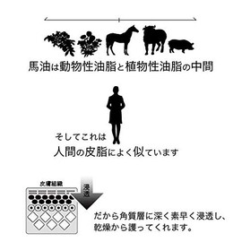 Clean Maker 100% Made in Japan Horse Oil 40 mL