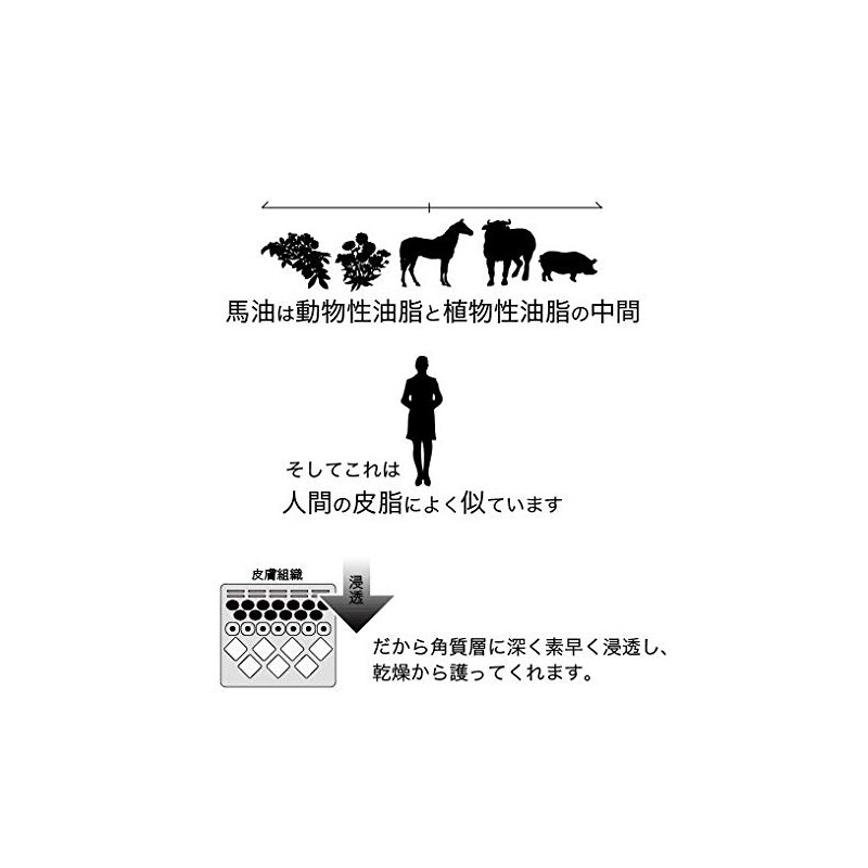 Clean Maker 100% Made in Japan Horse Oil 40 mL