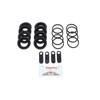 Bigg Red - Rear Brake Caliper Repair Kit - Compatible