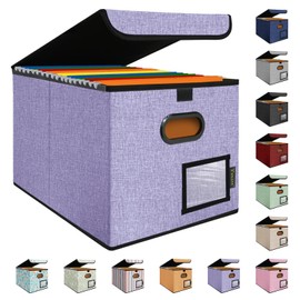 BALEINE File Organizer Box with Lid, Collapsible File Folder Organizer with Plastic Slide, Hanging File Folder Box for Office Document Storage (1 Pack, Purple)