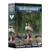 Games Workshop Warhammer 40k - Blood Angels Sanguinary Priest