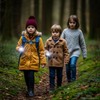 Tepreswes Teprewes Turtle Outdoor Kid's Flashlight Rechargeable, Led Flashlight, Fun