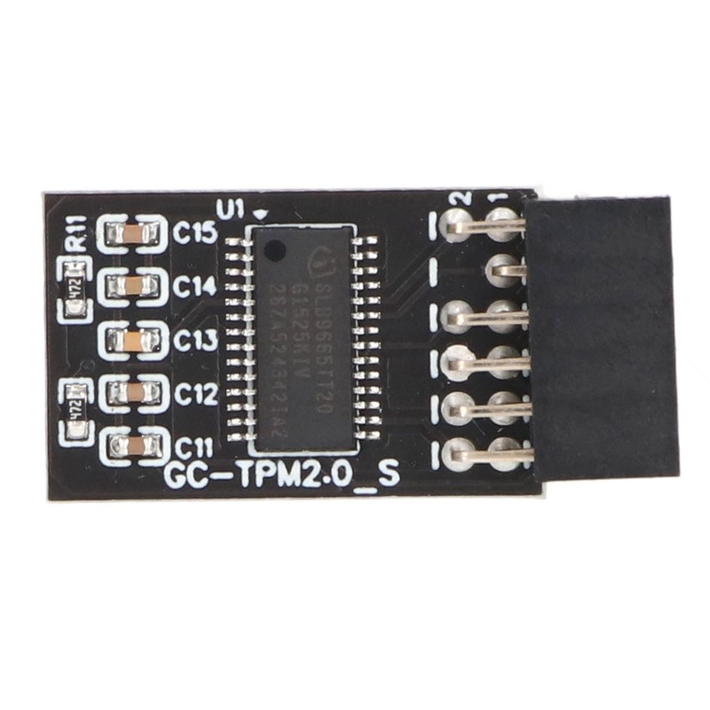 TPM 2.0 Module LPC SPI 12Pin Remote Card Encryption Security