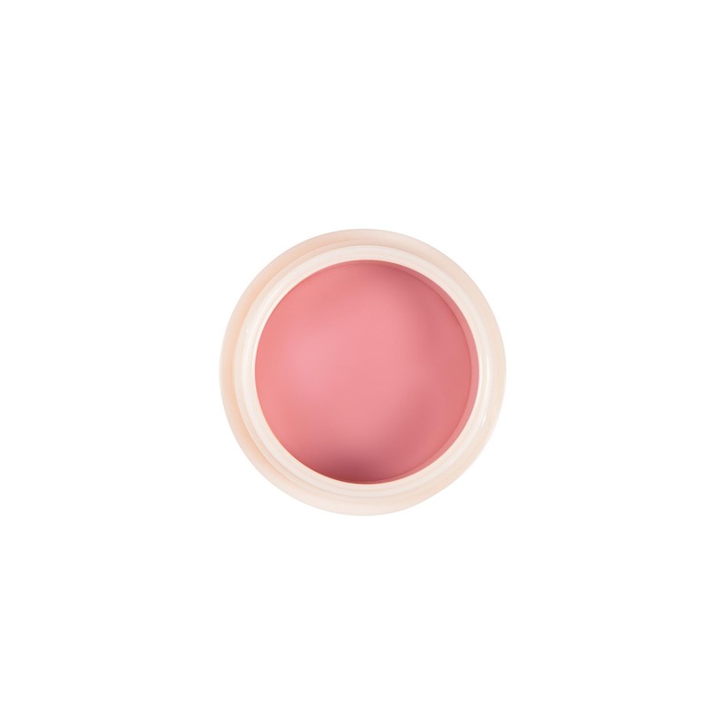Diego Dalla Palma Repair My Lips Lip Repair