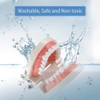 Tooth Model, Dental Care Model, Demonstration Tooth Model, Adult Simulation