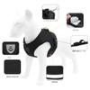 NC Mesh Dog Harness, Leash with Reflective Material, Leash Set,