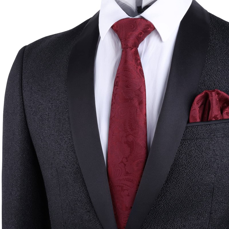 Alizeal Men's Classic Paisley Tie with Pocket Square Set, 174-Dark