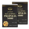 네이쳐스탑 유칼립투스 프로폴리스 5000mg 120정 2개 Nature Stop Eucalyptus Propolis 5000mg 120 Tablets 2 Pack