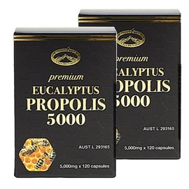 네이쳐스탑 유칼립투스 프로폴리스 5000mg 120정 2개 Nature Stop Eucalyptus Propolis 5000mg 120 Tablets 2 Pack