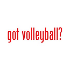 Got Volleyball ? Sticker - Decal - Die Cut - Red 3.98" x 1.13"
