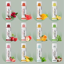 Dmsky Lip Balm Bulk, Fruit Lip Balm Variety Pack, Hydrating Lip Balm for Men Women Kids, 0.15 Oz, 360 count (Pack of 1)